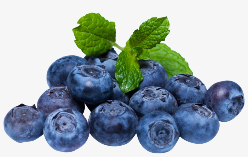Blueberries Png - Blueberry Png, transparent png download