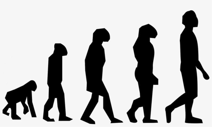 An Era More Upfront Negotiations Is Dawning / Pixaby - Theory Of Evolution Png, transparent png download