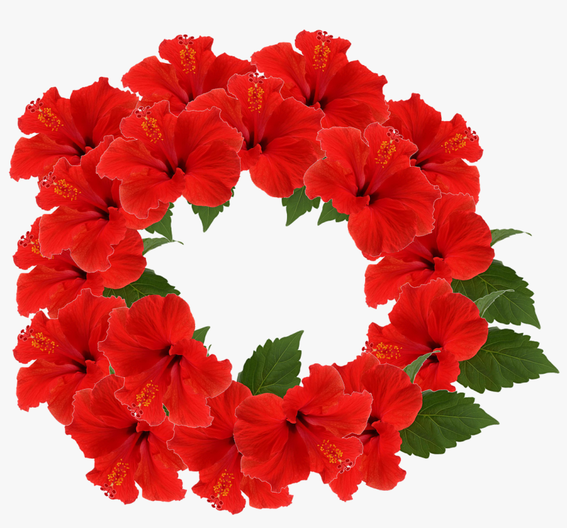 Flower, transparent png download