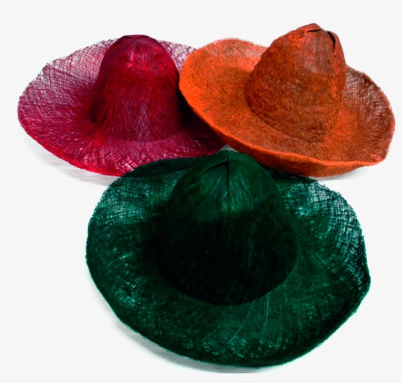 Sombrero Cabecinegro Sin Costuras - Sombrero Cabecinegro, transparent png download