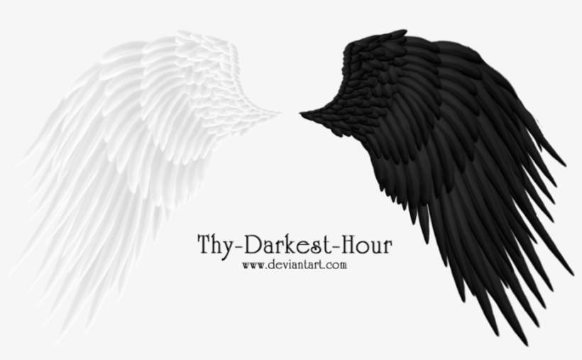 Angel Wings 08 Png By Thy Darkest Hour On Clipart Library - White And Black Angel Wings, transparent png download