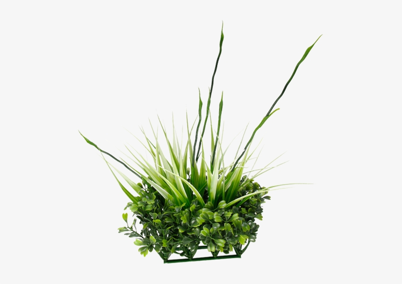Source - - Fluval Chi Boxwood & Tall Grass Ornament, transparent png download