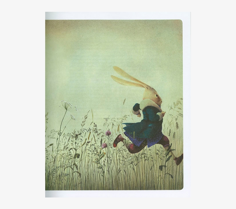 Dautremer - Alice In Wonderland Rebecca Dautremer, transparent png download