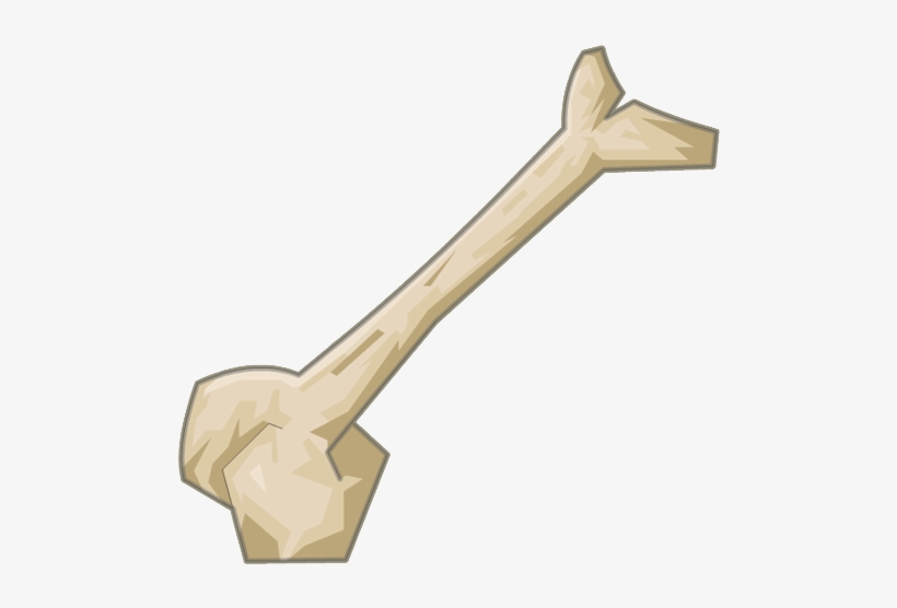 Fisheralak Bone - Real Bone Png, transparent png download