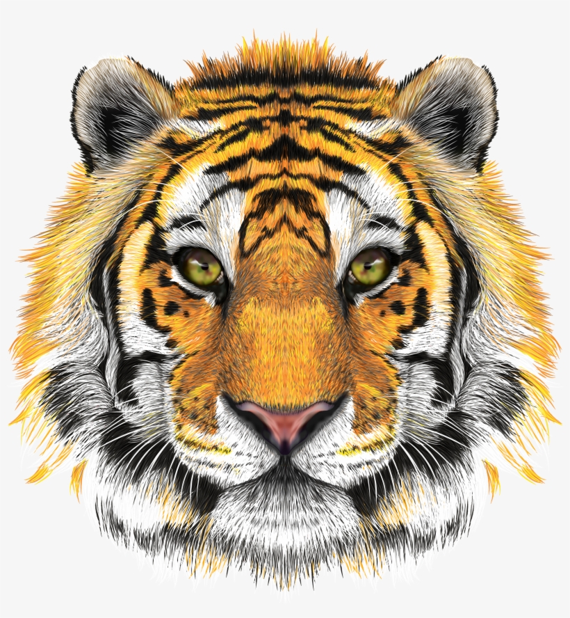 Tiger Head Transparent Background, transparent png download