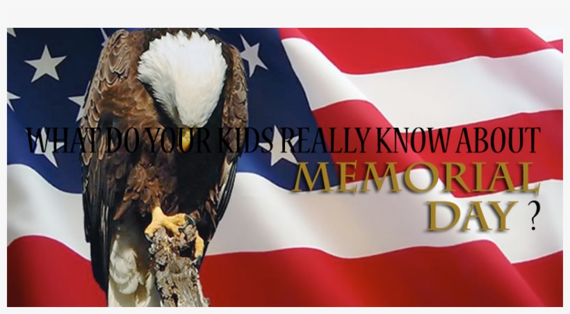 Memorial Day Us Flag, transparent png download