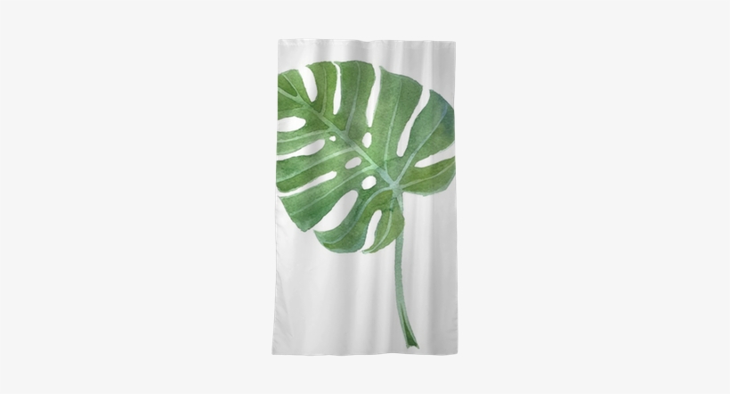 Watercolor Monstera Leaf Sheer Window Curtain • Pixers® - Monstera Leaf Watercolor, transparent png download