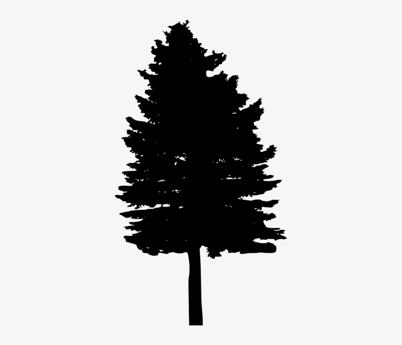 Pine Watercolor Png - Portable Network Graphics, transparent png download