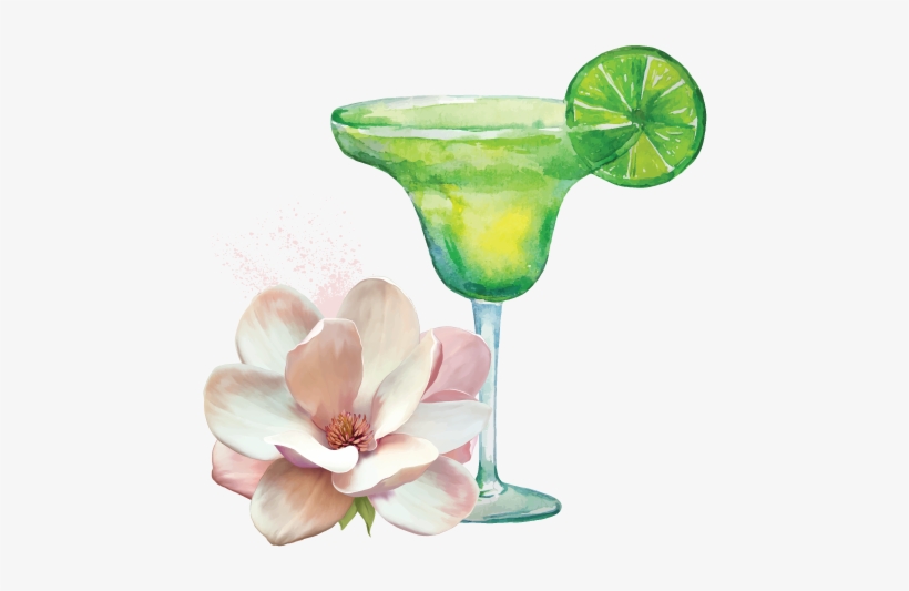 Purchase Tickets Here Margaritas And Magnolias Logo - Baylis & Harding Pink Magnolia And Pear Blossom, transparent png download