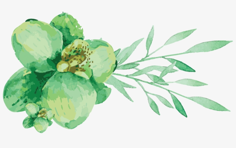 1081 Old Princes Highway - Watercolor Greenery Clipart Free, transparent png download