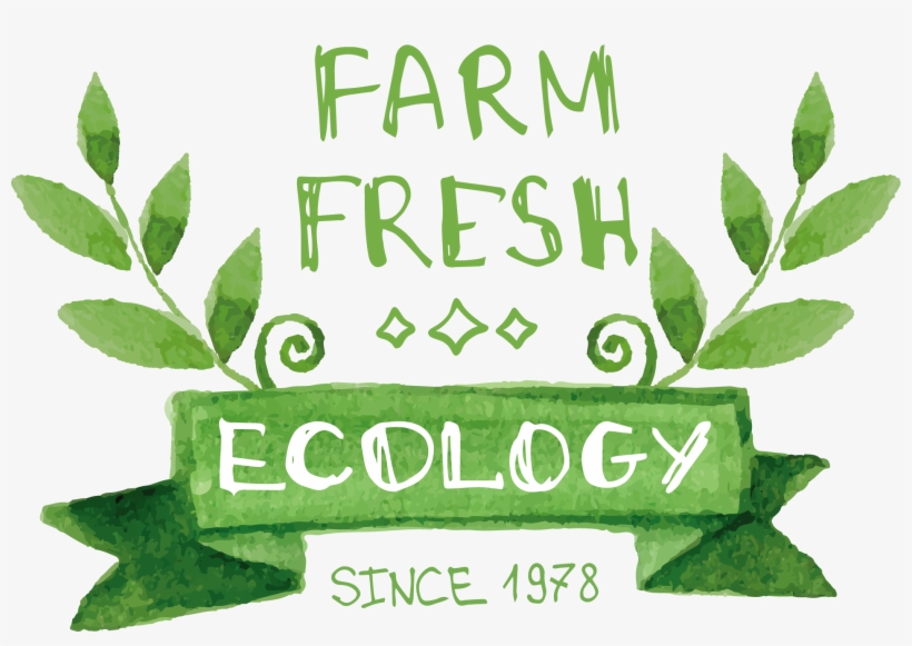 Vector Leaves - Vector Graphics, transparent png download