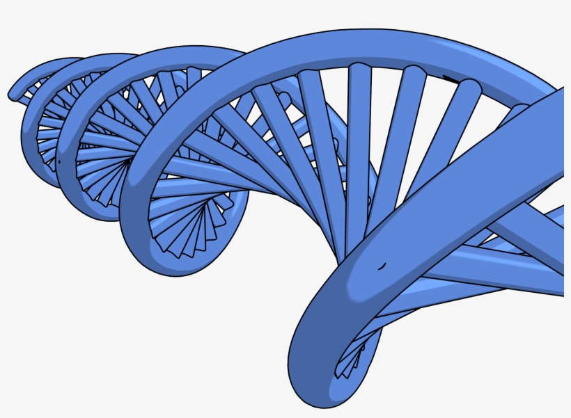 Dna Png Clipart Picture - Clipart Dna, transparent png download