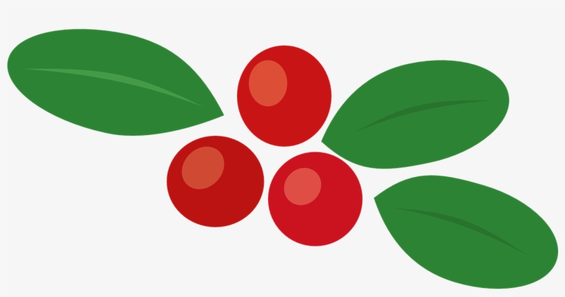 Cowberry Berry Autumn Leaf Food Png Image - Berry Vector Png, transparent png download