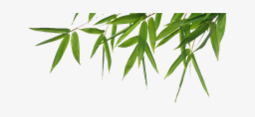 Bamboo Png Transparent Images - Queen Cool Gel Memory Foam Mattress Topper Underlay, transparent png download
