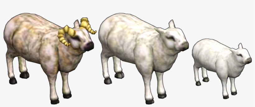 Hafen-sheep - Sheep, transparent png download
