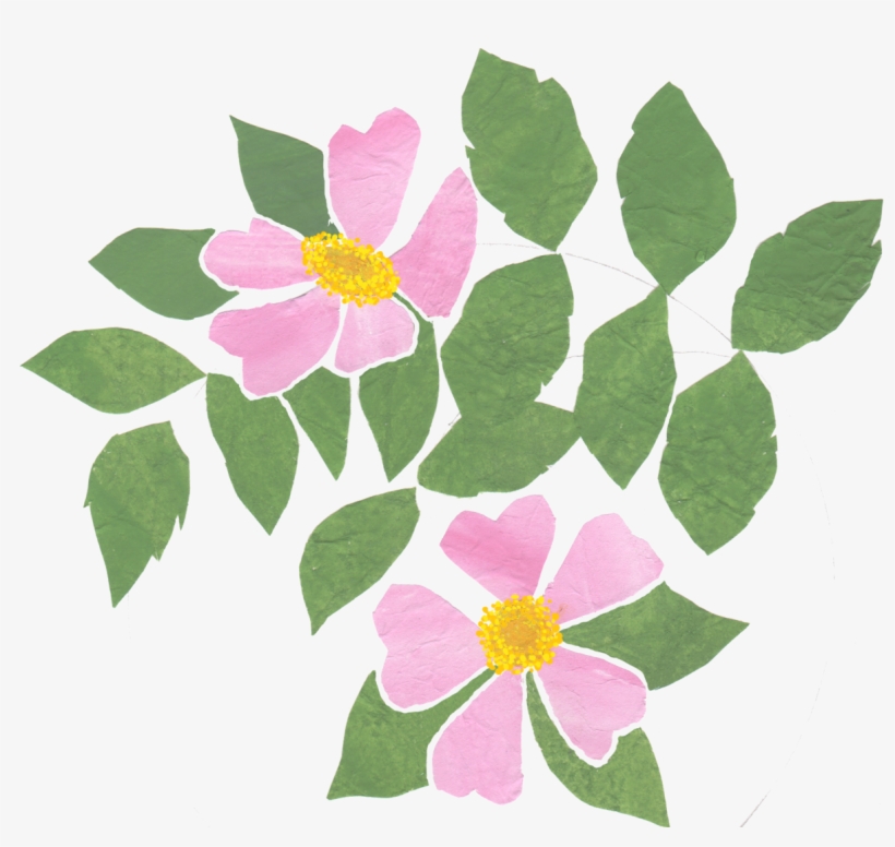 All This As The Result Of One Wayward Little Dog Rose - Birthday, transparent png download