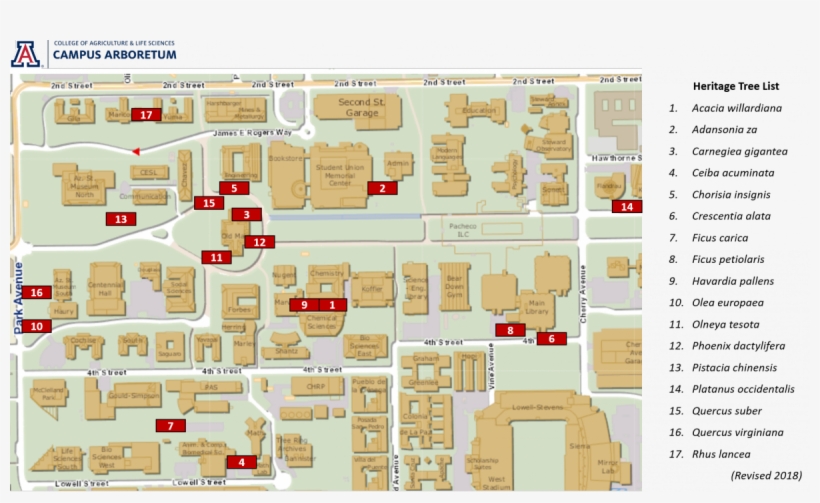 University Of Arizona, transparent png download