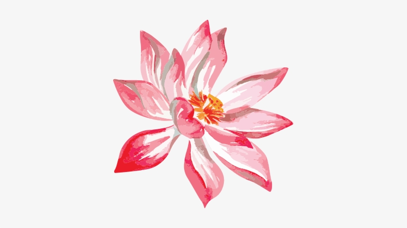 Privacy Policy Return Policy - Lily, transparent png download