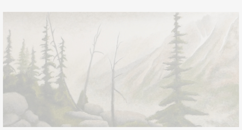 Gmp Contact30sharon Weizenbaum2017 11 08t13 - Sketch, transparent png download