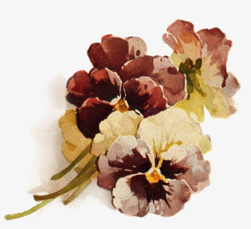 Autumn's Crowning Glory ~ Png File, Pansies Decoupage - Brown Flower Transparent Background, transparent png download