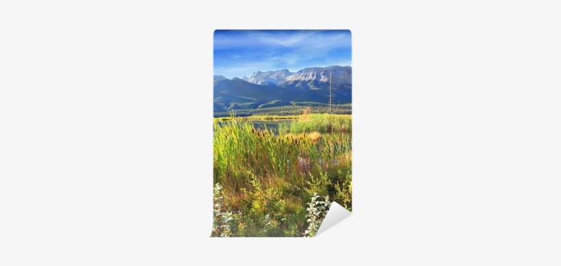 Valley Lake Jasper, Overgrown With Tall Grass Wall - Lake Jasper, transparent png download