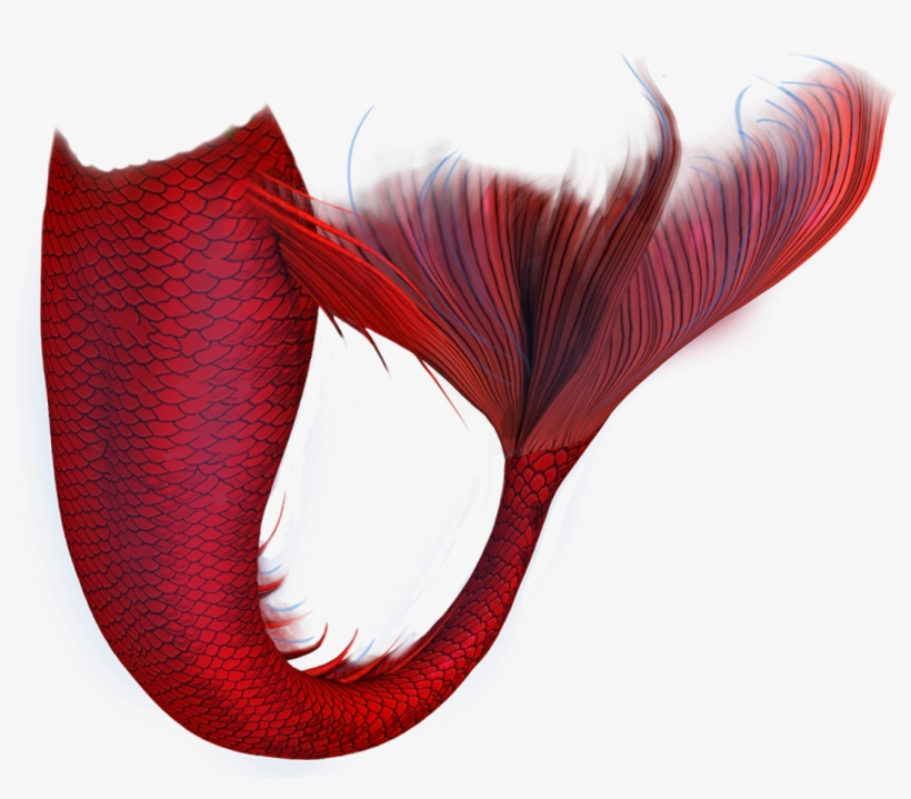 Go To Image - Mermaid Tail On Picsart, transparent png download