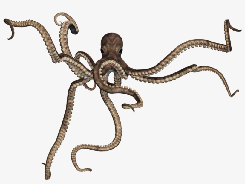 Octopus Png - Giant Octopus Png, transparent png download