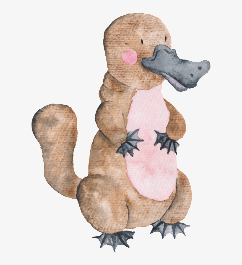 This Graphics Is Hand Drawn Platypus Transparent Animal - Free Australian Animal Cartoon, transparent png download