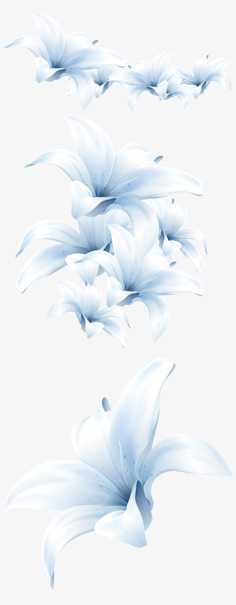 Elegant Watercolor Flowers Transparent - Lily, transparent png download