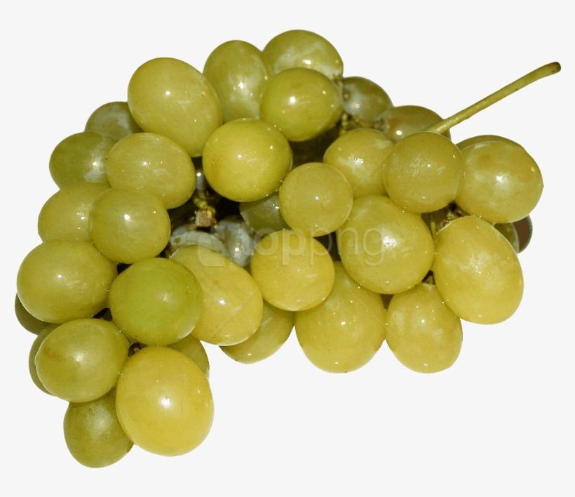 Download Grapes Png Image - Grape, transparent png download