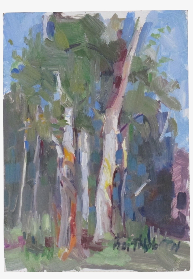 Artist - Birch, transparent png download