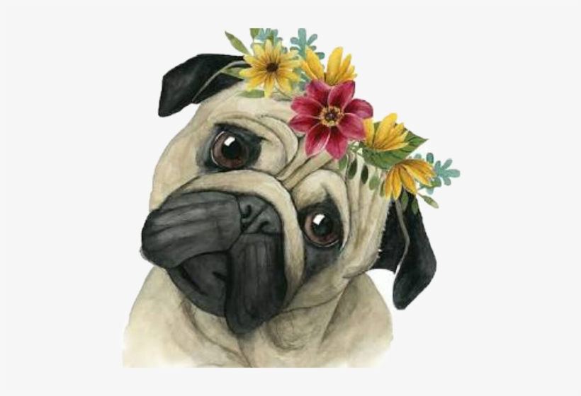 #freetoedit,#scpug,#pug - Art Print: Flower Crown Pup I By Grace Popp : 18x18in, transparent png download