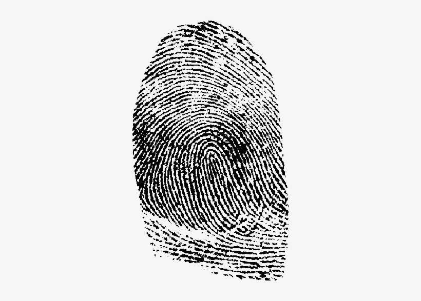 Png Images All Graphic Transparent Library - Fingerprint Transparent, transparent png download