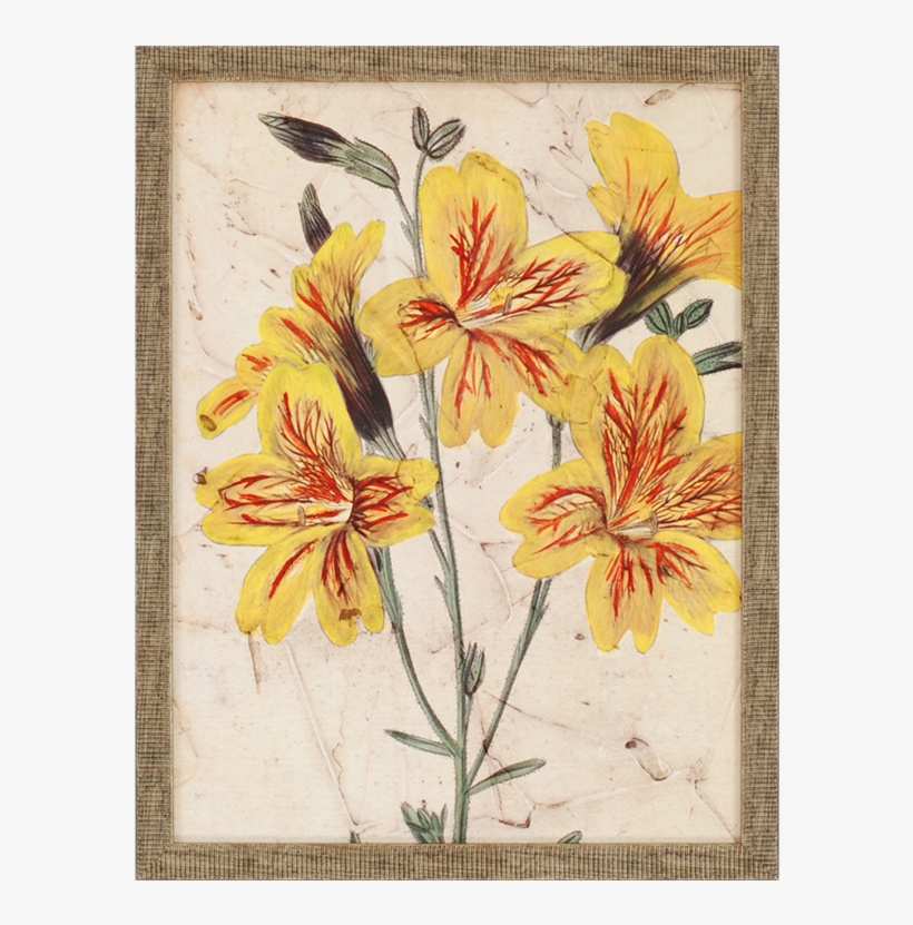 Vision Studio - Curtis Blooms In Yellow Iv, transparent png download