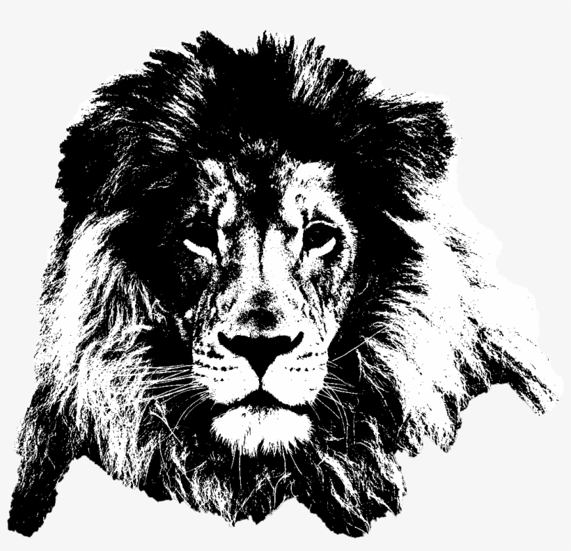 Png Dota 2 6 » Png Image - Lion, transparent png download