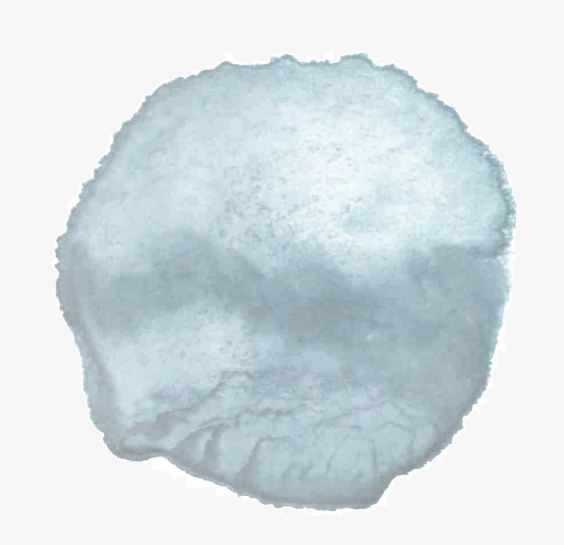 "with Freedom, Books, Flowers, And The Moon, Who Could - Watercolor Paint, transparent png download