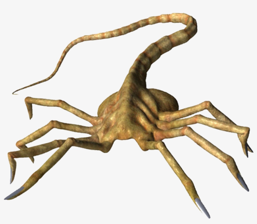 Facebook Like Thumbs Up Png - Facehugger Xnalara, transparent png download