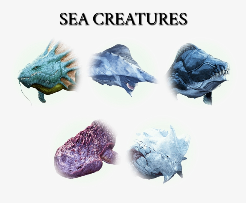 Criaturas Que Vão Aparecer Na Nova Expansão De Black - Margoria Black Desert, transparent png download