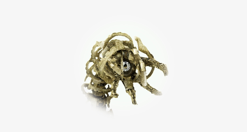 Kutum, transparent png download