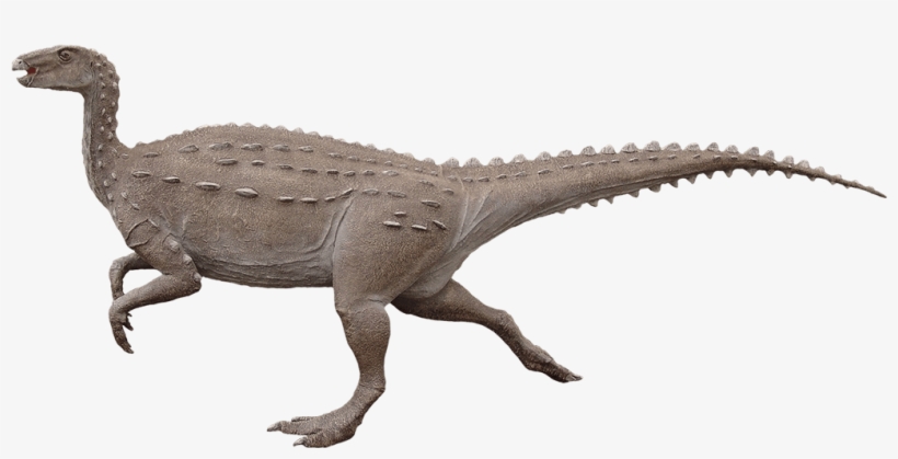 Armored Dinosaur - Scelidosaurus Png, transparent png download