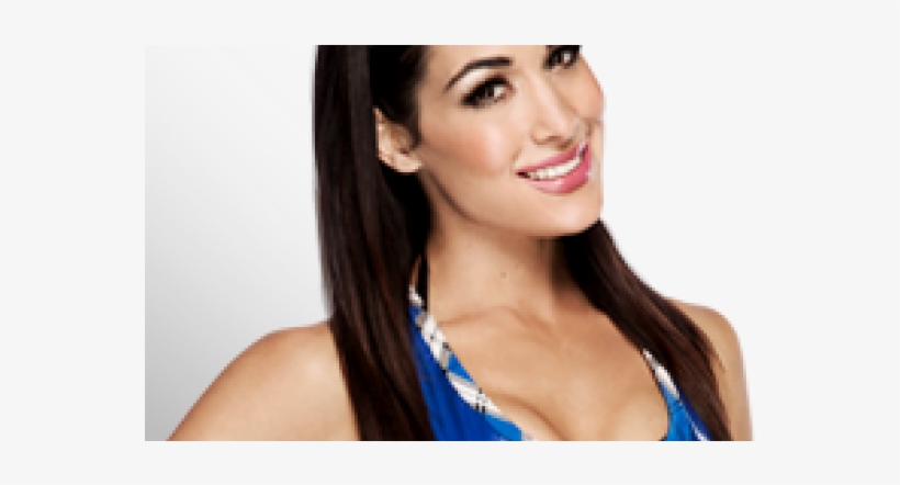 Brie Bella Wwe 2014 Download - Wwe Bi-fold Wallet - Brie Bella Vivid Pose/brie Mode, transparent png download