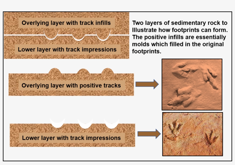 Our Geological Wonderland - Geology, transparent png download