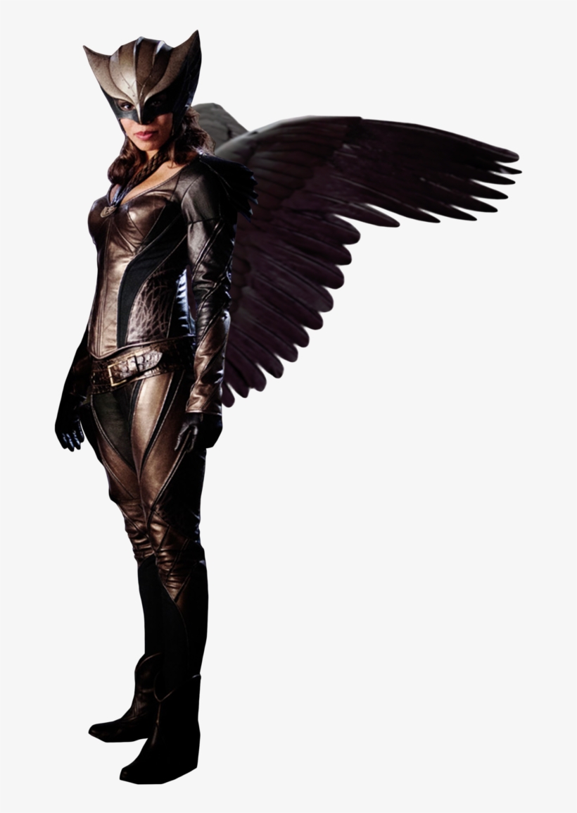 Free Download Hawkgirl Transparent Clipart Hawkgirl - Hawkgirl Png, transparent png download