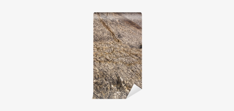 Dinosaur Footprint Trail - Trail, transparent png download