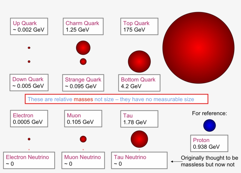 The Comparative Masses Of The Fundamental Particles - Size Of Neutrino Compared To Electron, transparent png download