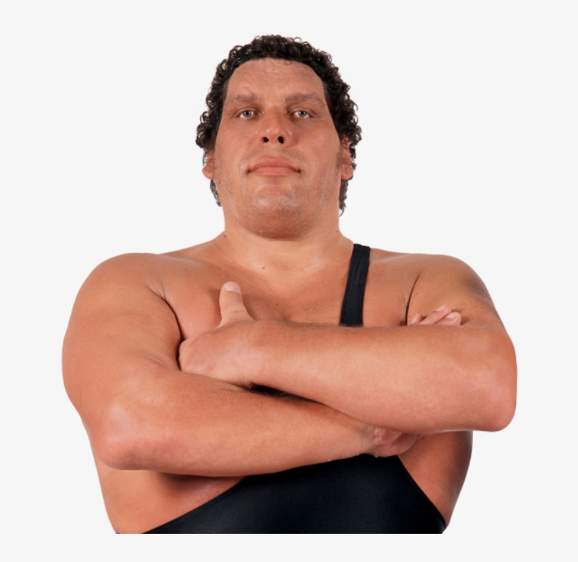 Andre The Giant Documentary - Andre The Giant 2018 Poster, transparent png download