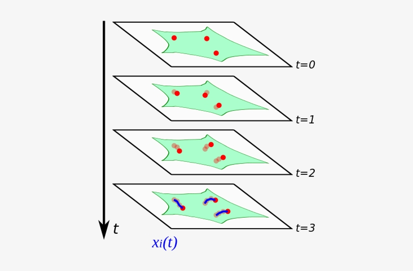 Principle Of Single-particle Tracking - Colorfulness, transparent png download
