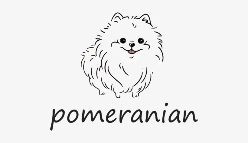 Pomeranian, transparent png download