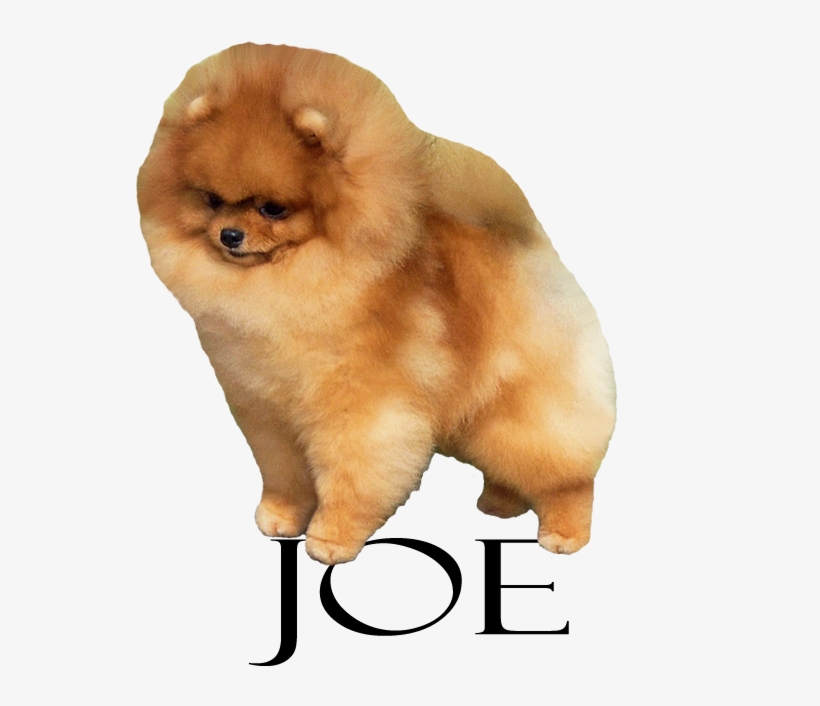 Lynnwrights The Following - Dog, transparent png download