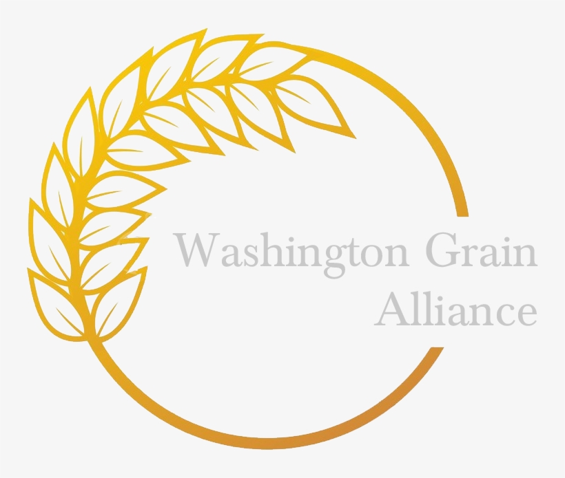 Washington Grain Alliance - Logo, transparent png download